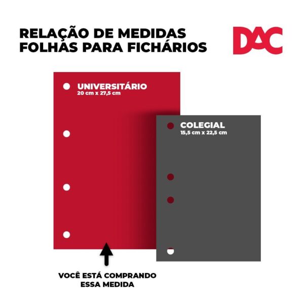 Refil de Folhas para Fichário Universitário Ursinho Lotso - DAC