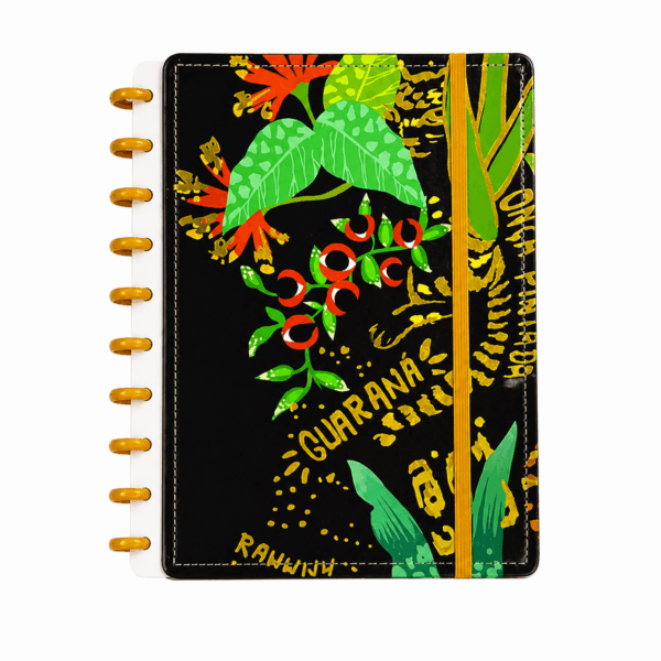 Caderno de Disco BRASILIDADES  20x26cm 10 Discos 80 Flhs- TOKYO DESIGN - UND
