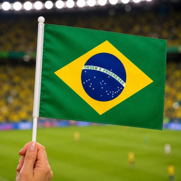 Bandeirinha Brasil c/ Haste 19,5 x14cm  - IMPORTADO - UND