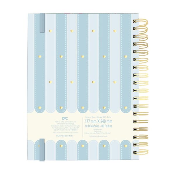 Caixa Criativa  Enjoy ( Caderno Colegial Smart + 5 Pins) - DAC