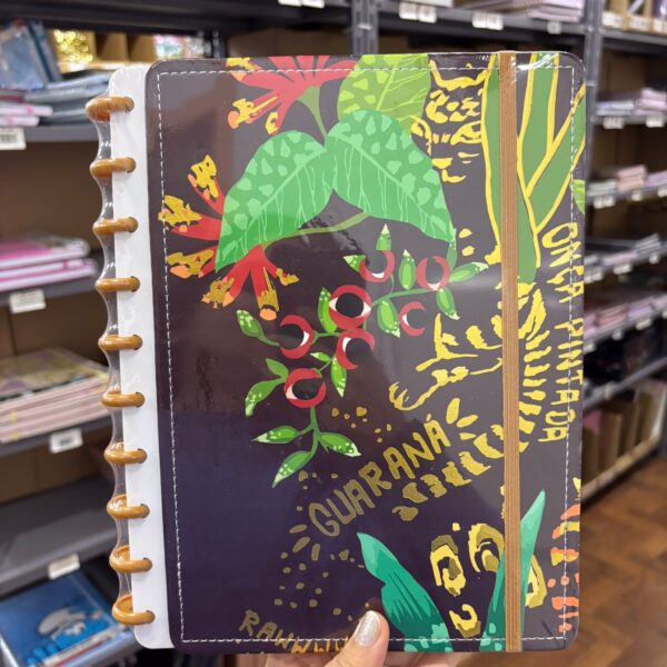 Caderno de Disco BRASILIDADES  20x26cm 10 Discos 80 Flhs- TOKYO DESIGN - UND