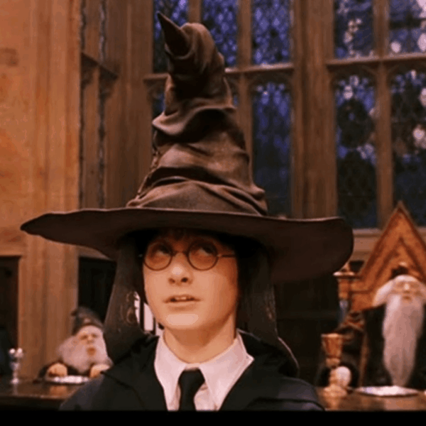 Estojo Fluffy Pelúcia Chapéu Seletor Harry Potter - DAC