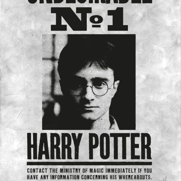 Lata Colecionável LUXO Harry Potter - DAC