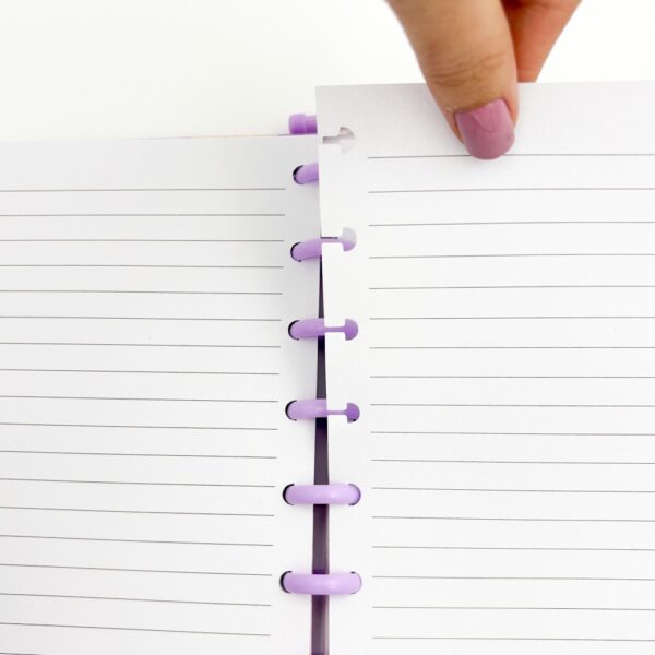 Caderno de Disco COLEGIAL Flores 10 discos - 19,8x25,5cm 80 fls - IMPORTADO - UND