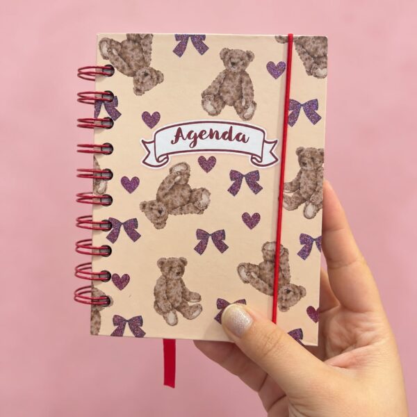 Agenda Permanente Lacinhos 10,4x14,2cm 160 Fls - IMPORTADO - UND
