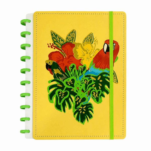 Caderno de Disco BRASILIDADES  20x26cm 10 Discos 80 Flhs- TOKYO DESIGN - UND